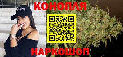индика Владимир