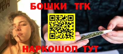 индика Владимир