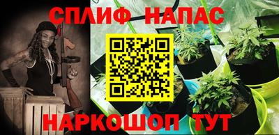 индика Владимир