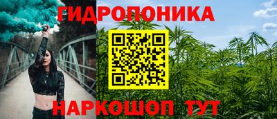 индика Владимир