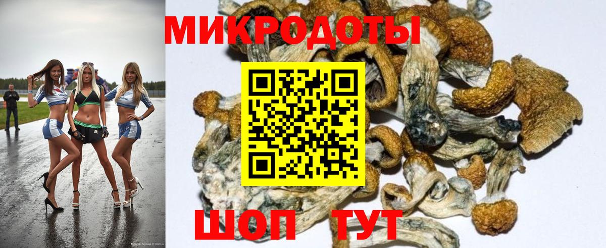 Вязники  Псилоцибиновые грибы Magic Shrooms  цена наркотик  Вход с VPN 